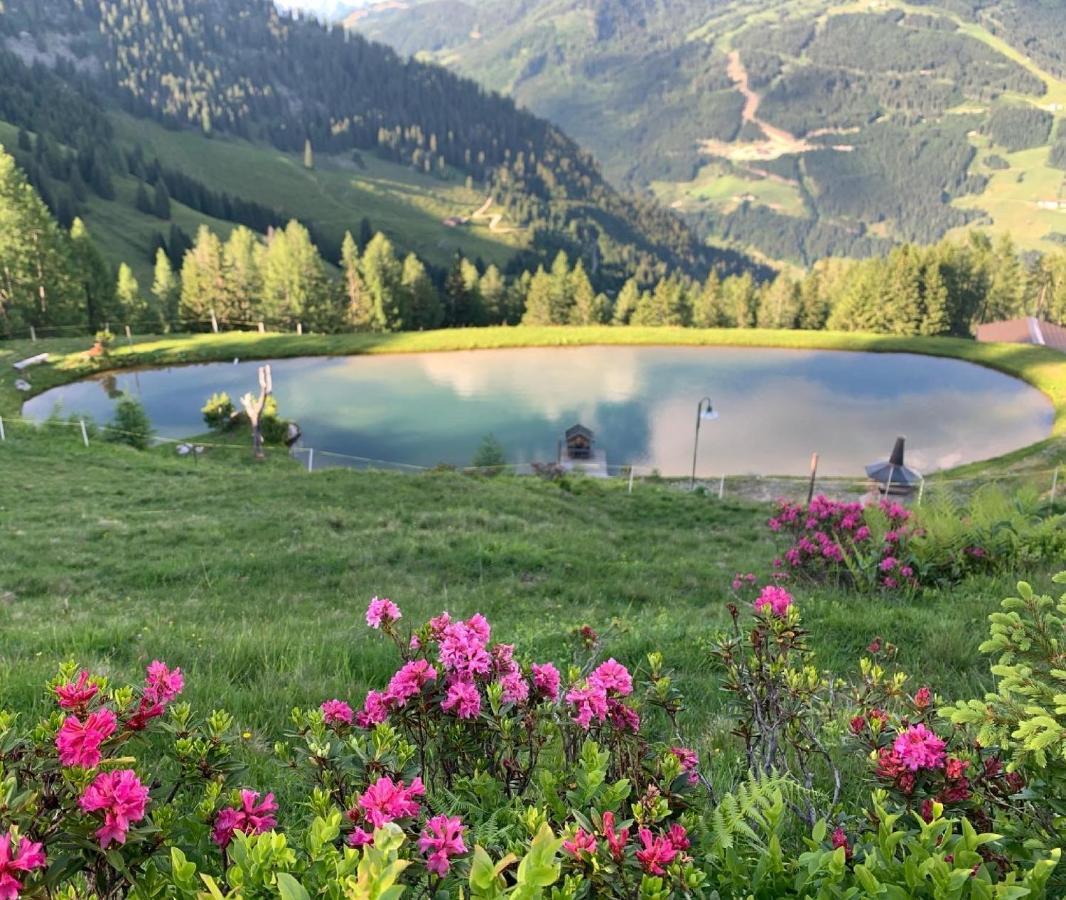 Hotel Alpina Kleinarl Esterno foto